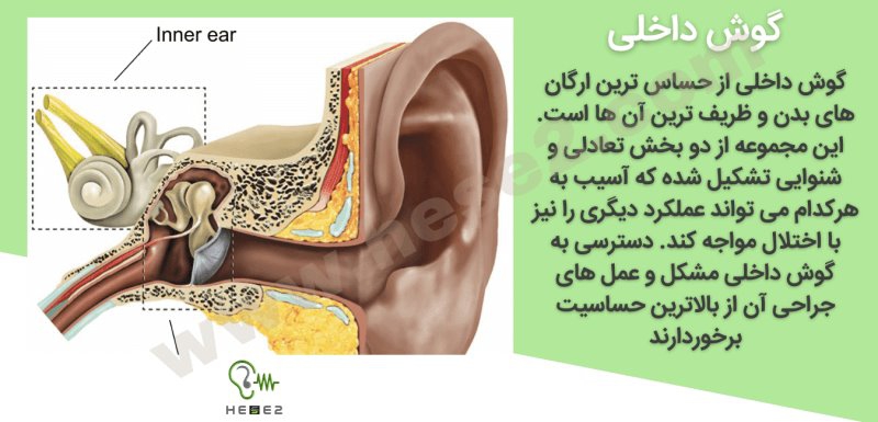 شایع ترین عمل های گوش داخلی انسان